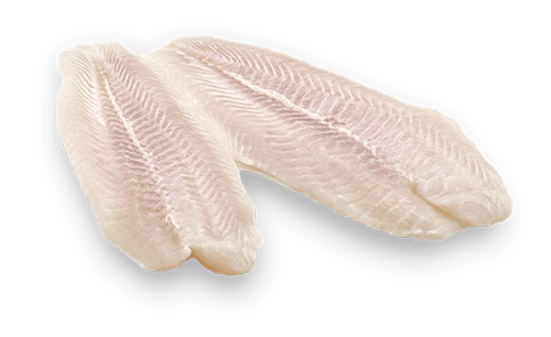 Pangasius