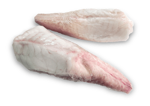 Monkfish