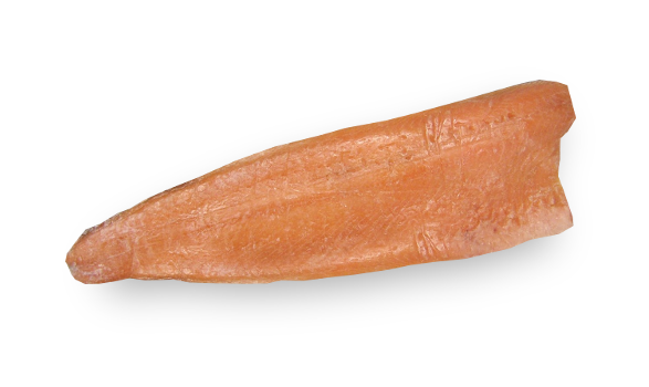 Salmão